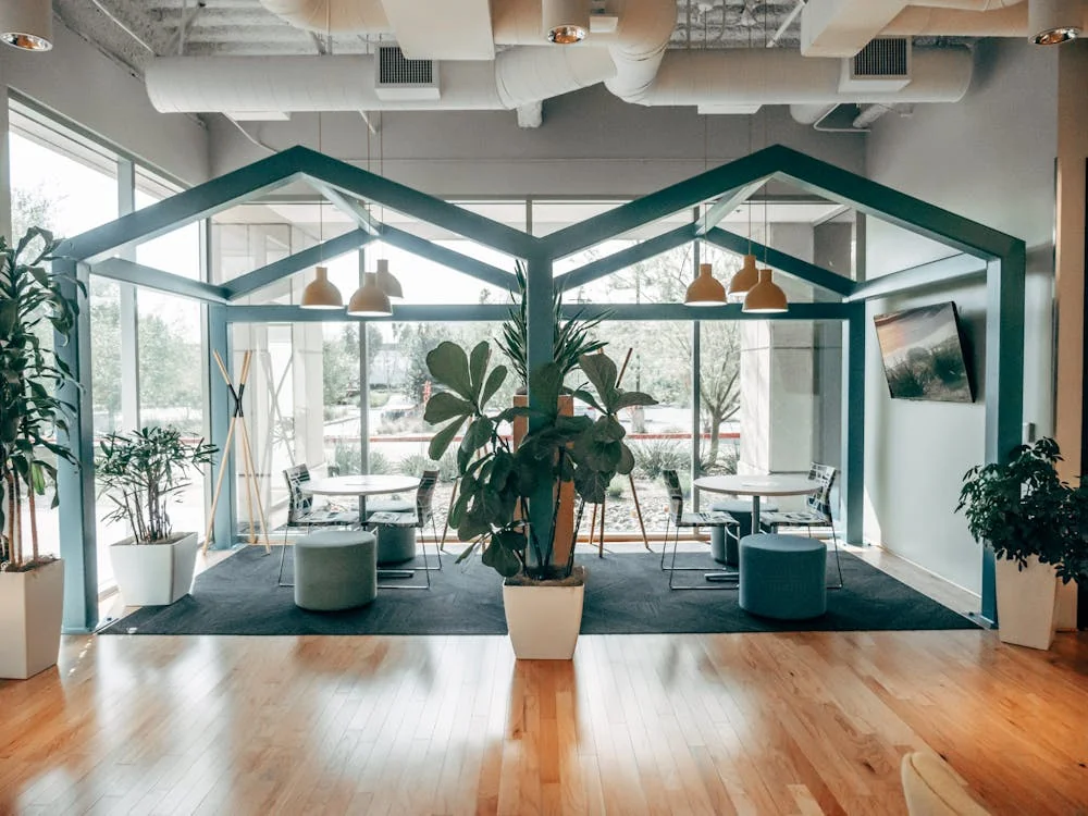 LVP installation in corporate tenant improvement — Las Vegas